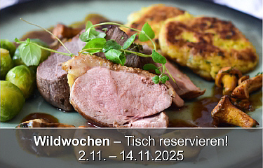 Modul Schnitzel